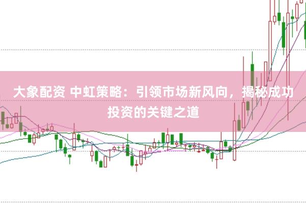 大象配资 中虹策略：引领市场新风向，揭秘成功投资的关键之道