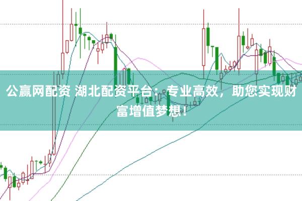 公赢网配资 湖北配资平台：专业高效，助您实现财富增值梦想！