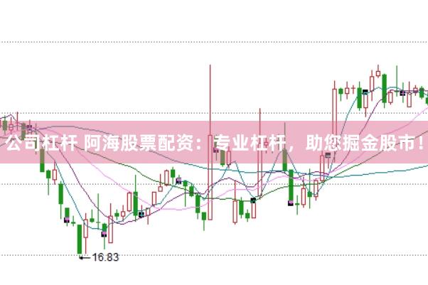公司杠杆 阿海股票配资：专业杠杆，助您掘金股市！
