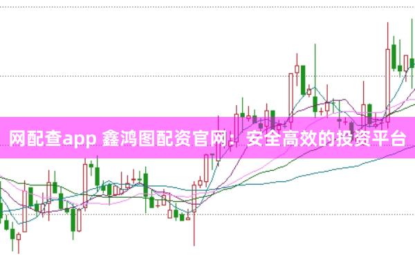 网配查app 鑫鸿图配资官网：安全高效的投资平台
