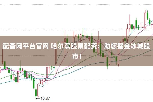配查网平台官网 哈尔滨股票配资：助您掘金冰城股市！