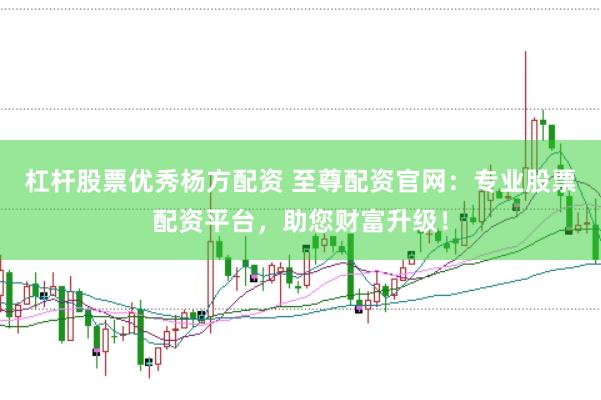 杠杆股票优秀杨方配资 至尊配资官网：专业股票配资平台，助您财富升级！