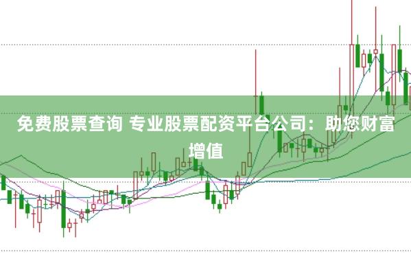 免费股票查询 专业股票配资平台公司：助您财富增值