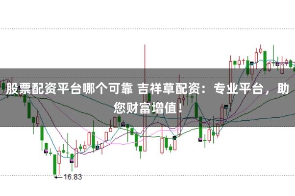 股票配资平台哪个可靠 吉祥草配资：专业平台，助您财富增值！