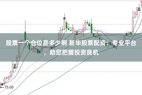 股票一个仓位是多少啊 新华股票配资：专业平台，助您把握投资良机