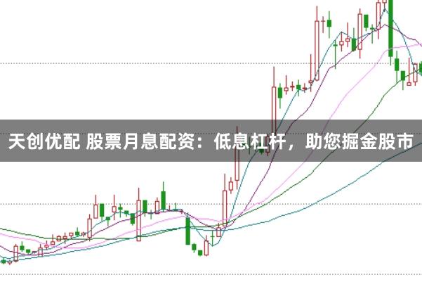 天创优配 股票月息配资：低息杠杆，助您掘金股市