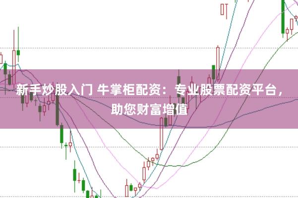新手炒股入门 牛掌柜配资：专业股票配资平台，助您财富增值