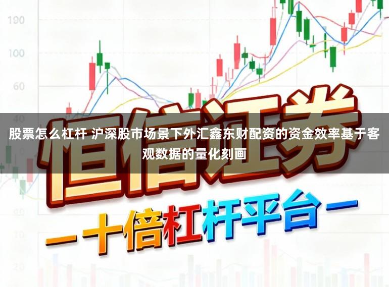 股票怎么杠杆 沪深股市场景下外汇鑫东财配资的资金效率基于客观数据的量化刻画