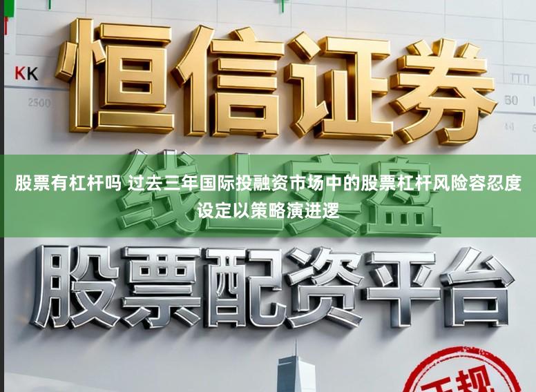 股票有杠杆吗 过去三年国际投融资市场中的股票杠杆风险容忍度设定以策略演进逻