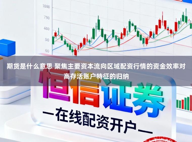 期货是什么意思 聚焦主要资本流向区域配资行情的资金效率对高存活账户特征的归纳