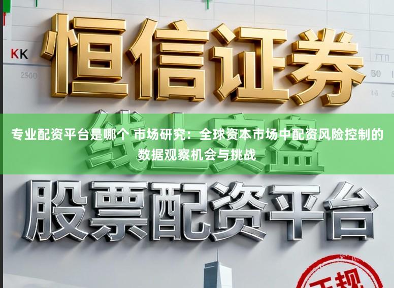 专业配资平台是哪个 市场研究：全球资本市场中配资风险控制的数据观察机会与挑战